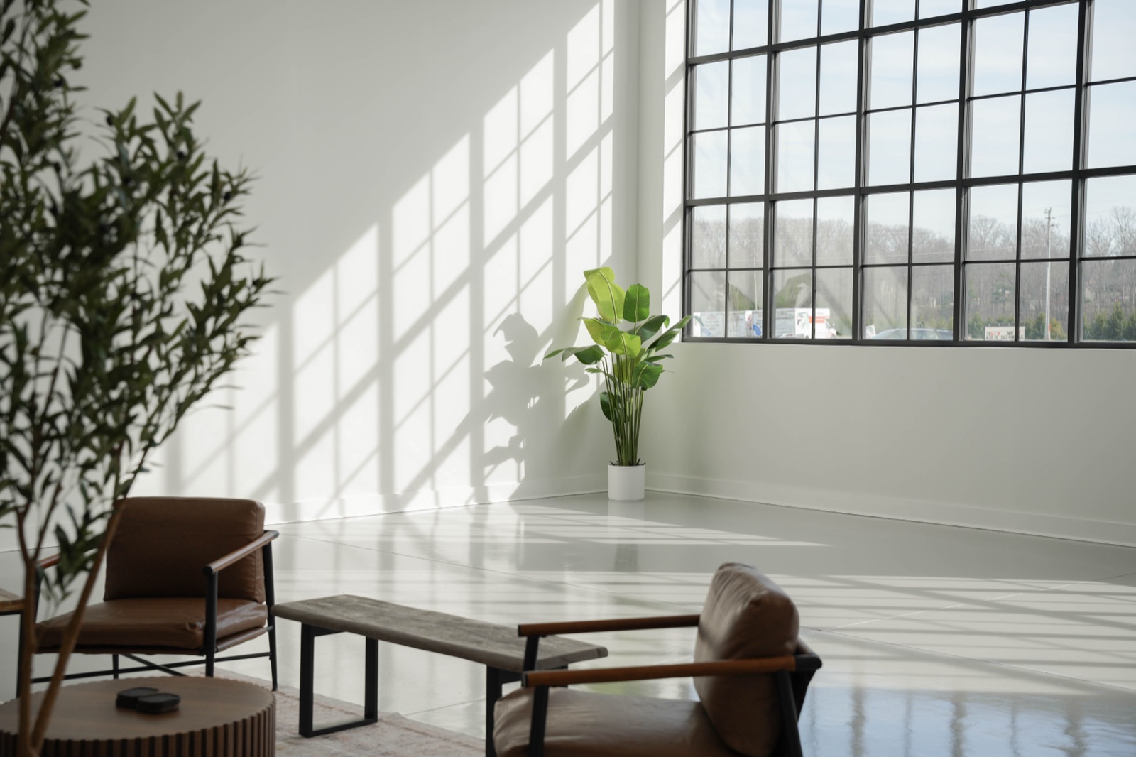 WhiteWall Studios Flagship Location